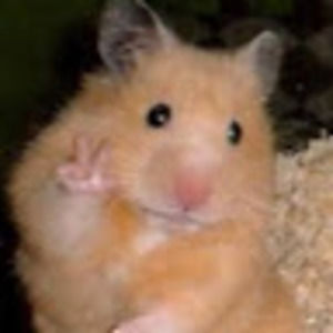 Meet your Posher, Marla